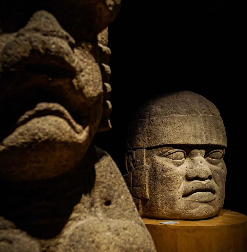 olmec stone head in a museum